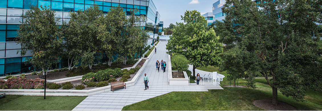 A tree- and grass-lined courtyard and walkway at Progressive Corporate Headquarters.